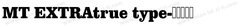 MT EXTRAtrue type字体转换